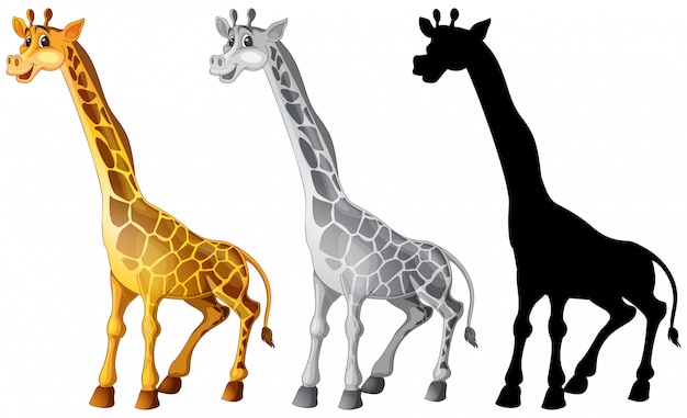 Set of giraffe character