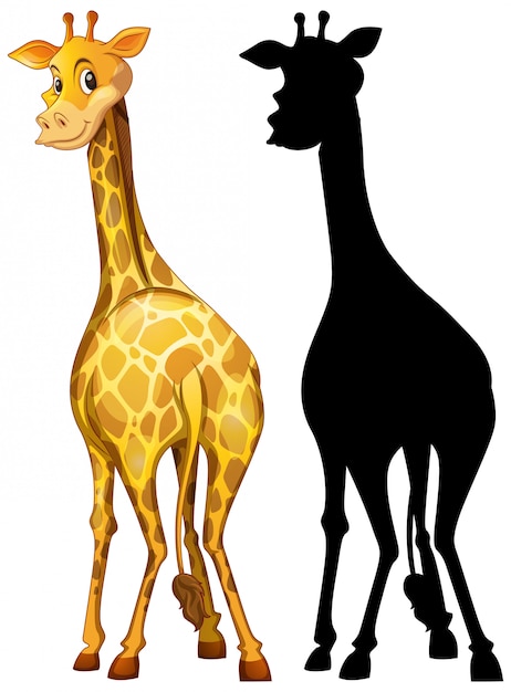 Free vector set of giraffe and its silhouette