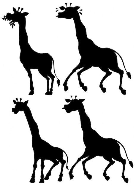 Set of giraffe and its silhouette