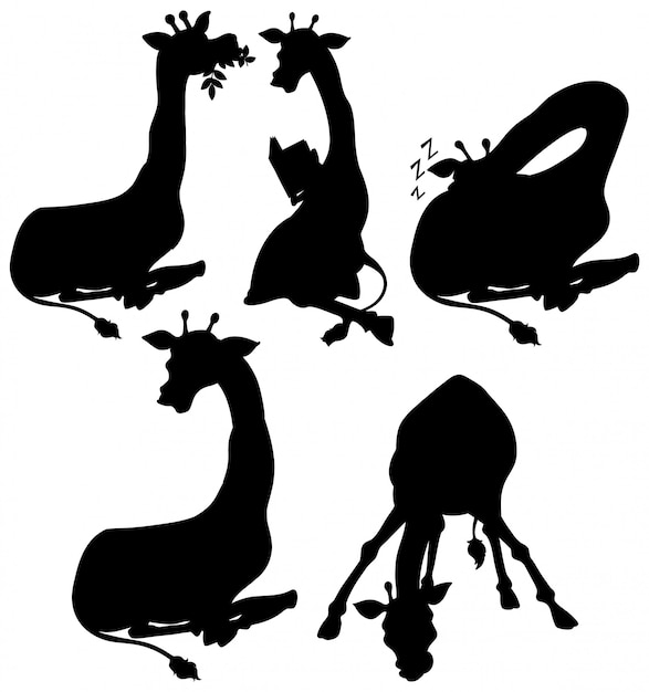 Set of giraffe silhouette