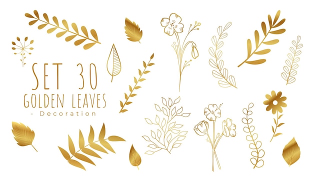 Free Vector set of golden leaves for greeting card on white background