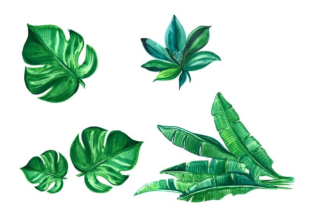 Set of green tree leaf design illustration