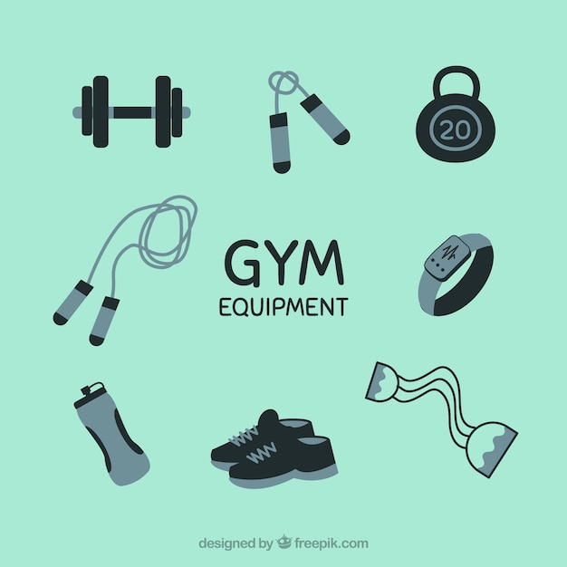 Free vector set of gym elements with exercises tools