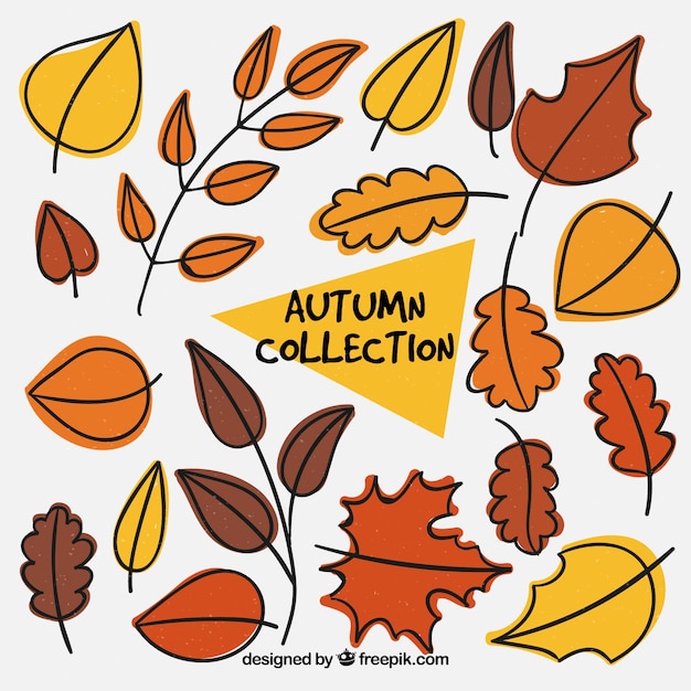 Free Vector set of hand drawn autumn decorative leaves