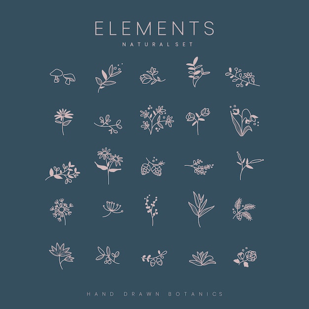 Free Vector set of hand drawn botanical elements vector