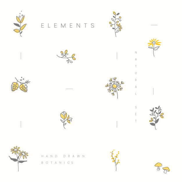 Set of hand drawn botanical elements vector