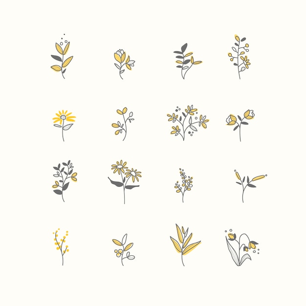 Set of hand drawn botanical elements vector