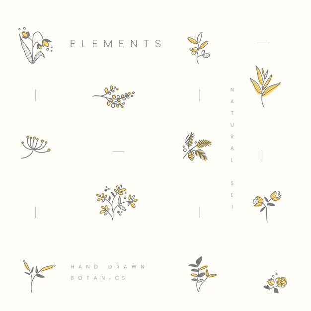 Set of hand drawn botanical elements vector