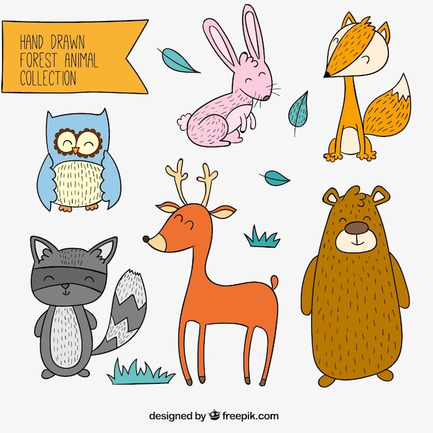 Free Vector set of hand drawn cheerful forest animals 