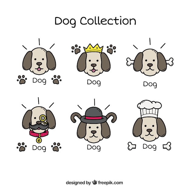 Free Vector set of hand-drawn dog with decorative accessories