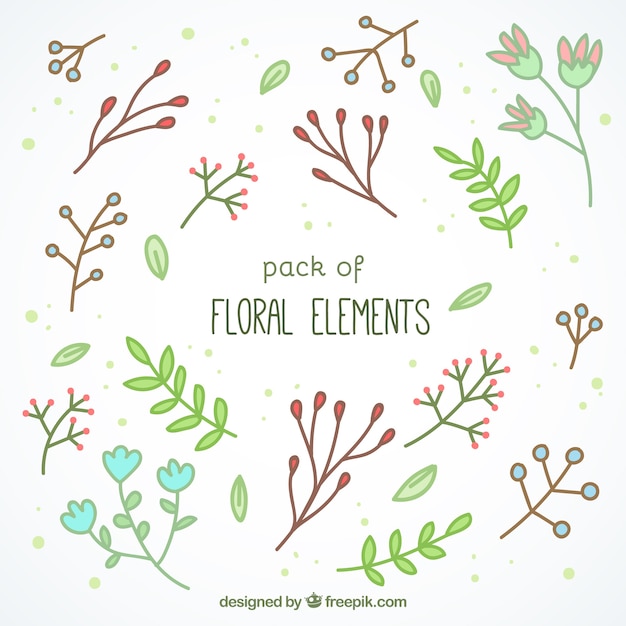 Free Vector set of hand drawn floral elements