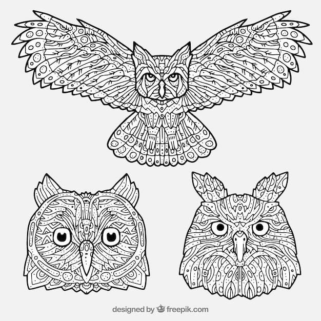 Free vector set of hand drawn ornamental owls