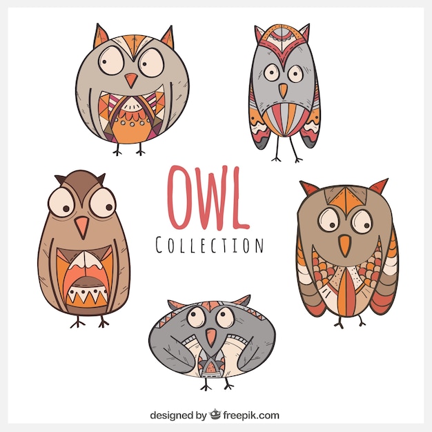 Free vector set of hand drawn owls