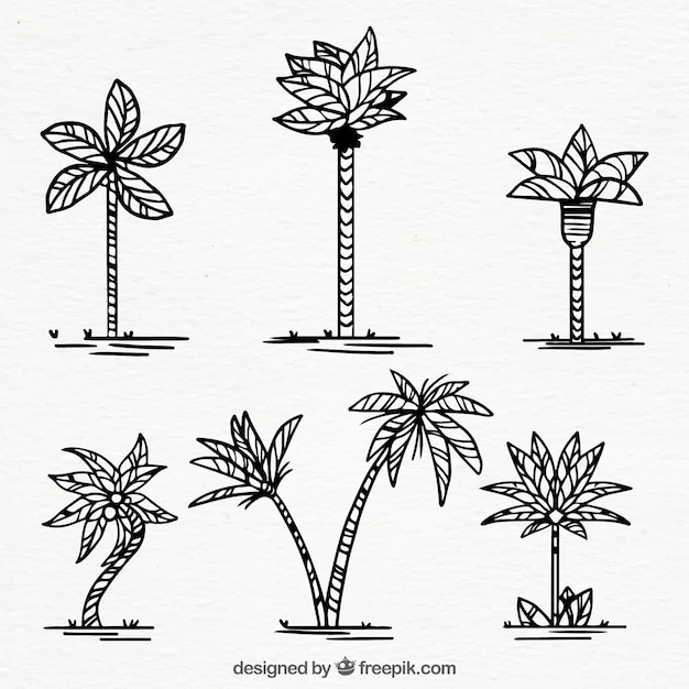 Free vector set of hand-drawn palm trees