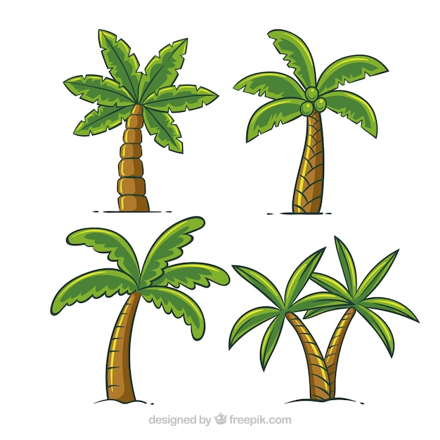 Free Vector set of hand-drawn palm trees