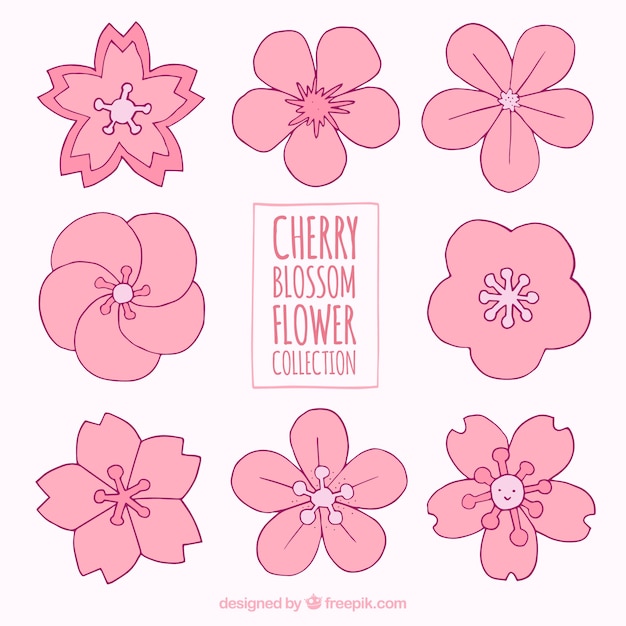 Set of hand-drawn spring flowers