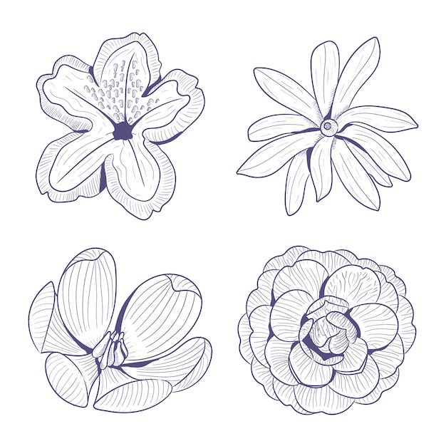 Set of hand drawn spring flowers