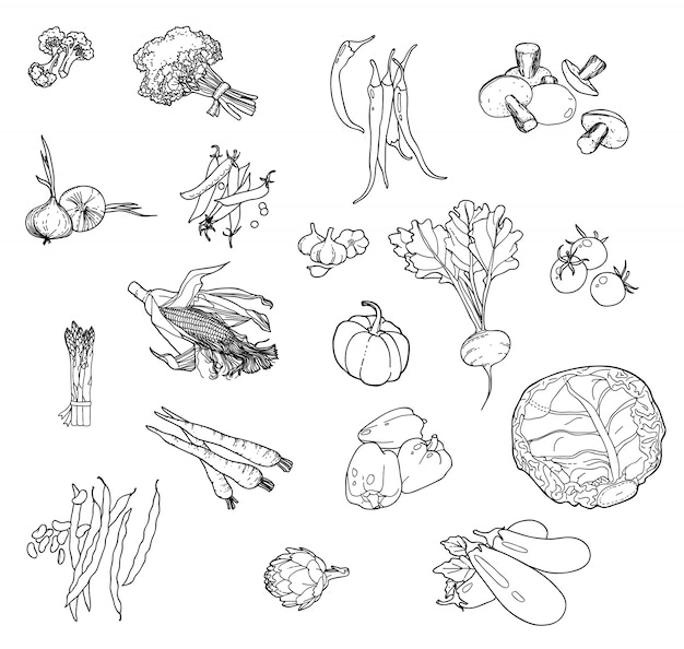 Set of hand-drawn vegetables for your design.