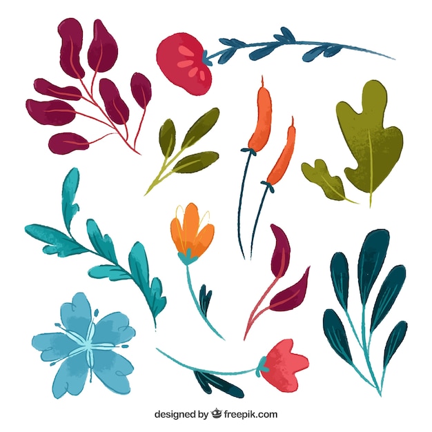 Free Vector set of hand drawn watercolor flowers