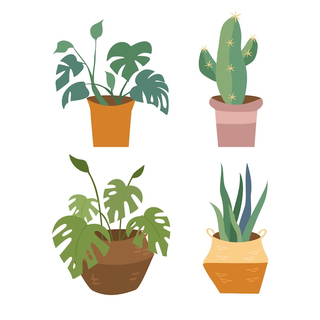 set of home plants