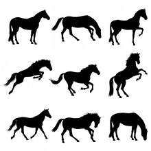 Horse silhouettes