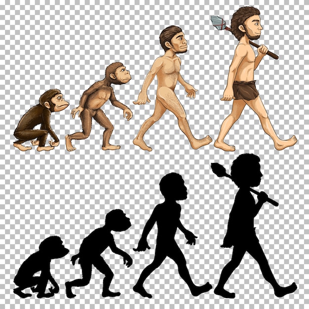 Free Vector set of human evolution