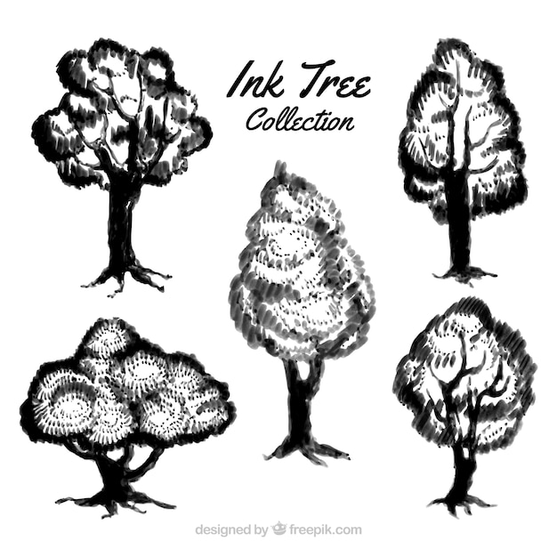 Set of ink tree sketches