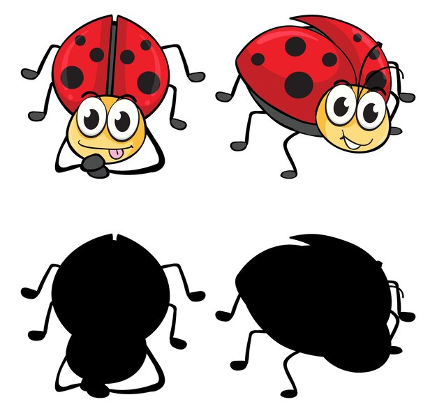 Set of insect cartoon character and its silhouette on white background