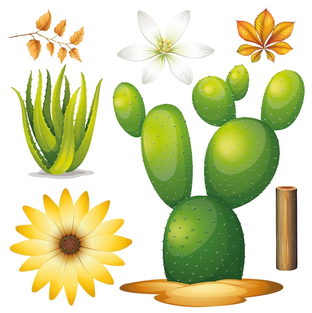 Free Vector set of isolated objects theme gardening