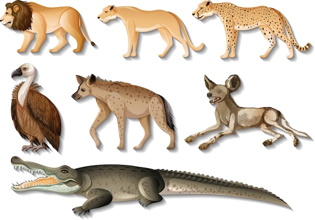 Free vector set of isolated wild african animals on white background