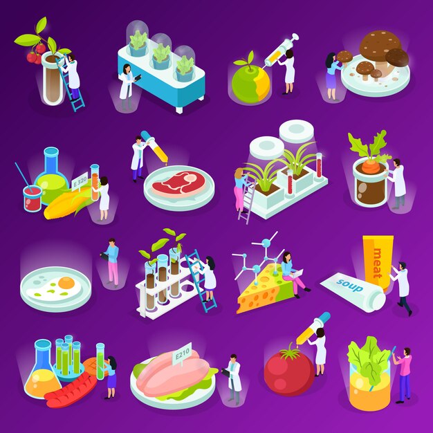 Set of isometric icons with artificial food scientists and laboratory equipment on purple  isolated