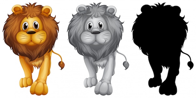 Free vector set of lion character