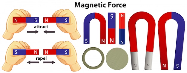 Set of magnetic equipments on white background