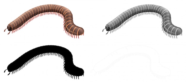 Set of millipede character