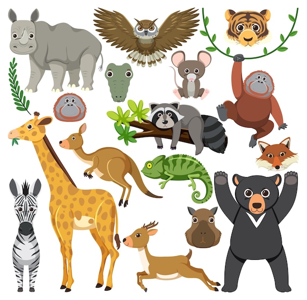 Set of mix animal character