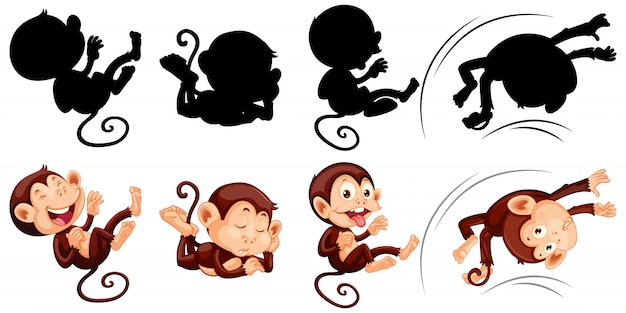 Free Vector set of monkey and its silhouette