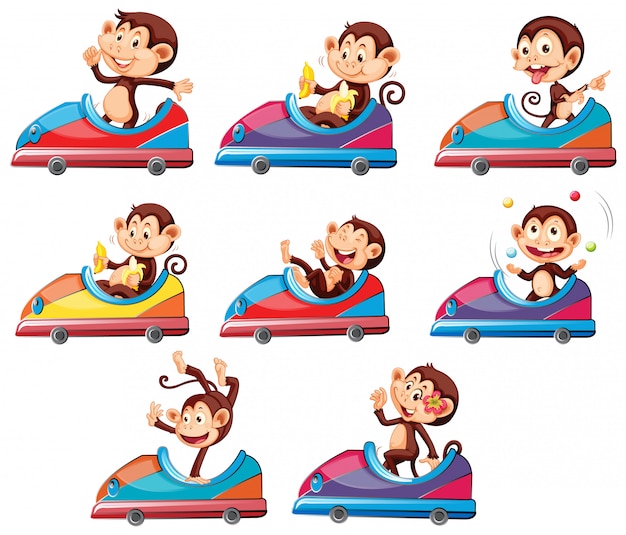 Free Vector set of monkeys riding on toy car