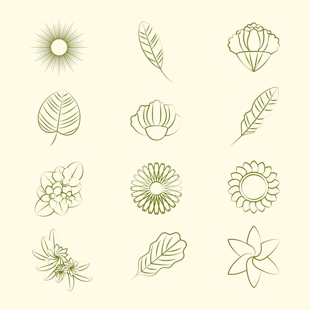 Set of nature ornament icons