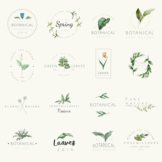 Set of nature and plant logo vectors