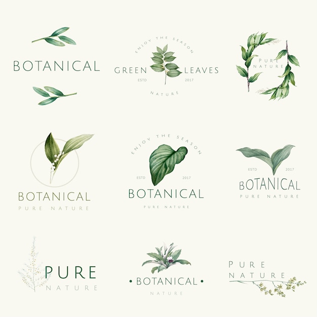 Set of nature and plant logo vectors