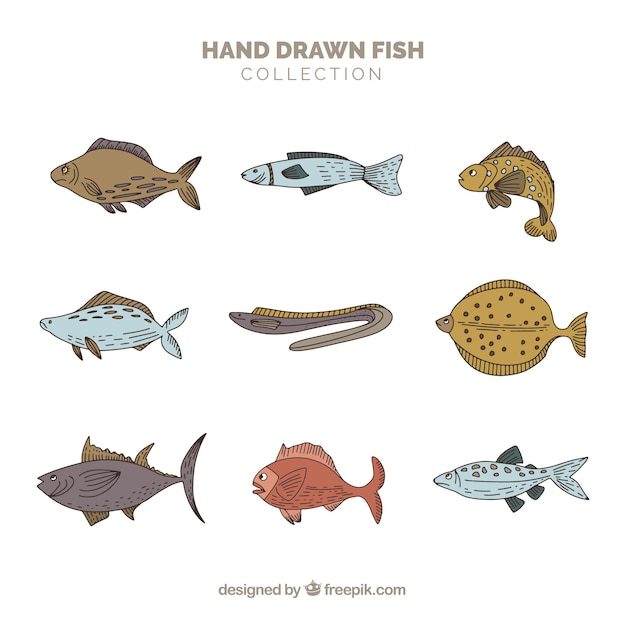 Free vector set of nine fish