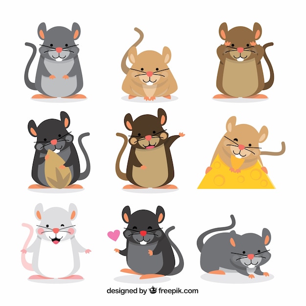 Set of nine hand drawn mice collection