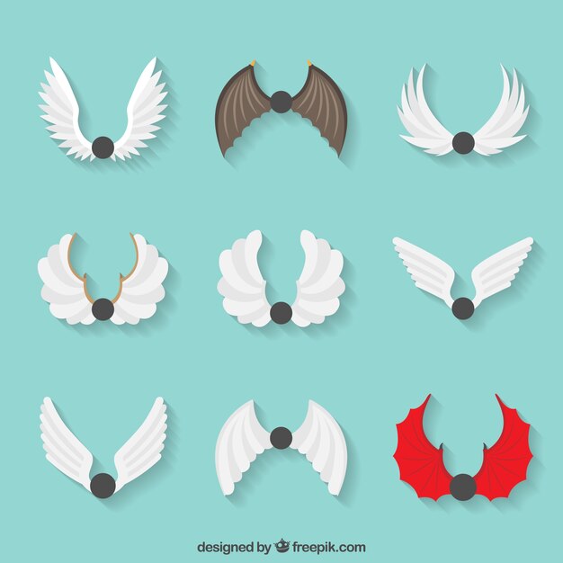 Set of nine wings with different kind of designs