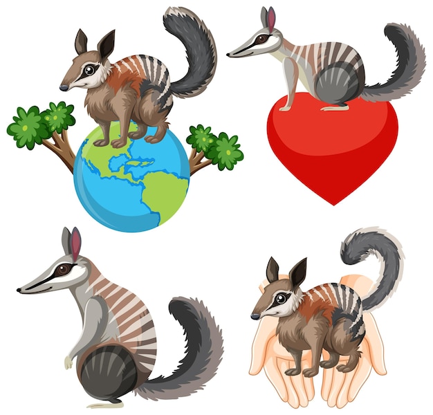 Free Vector set of numbat cartoon character