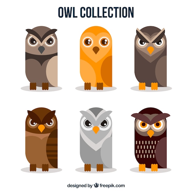 Set of owls in flat design