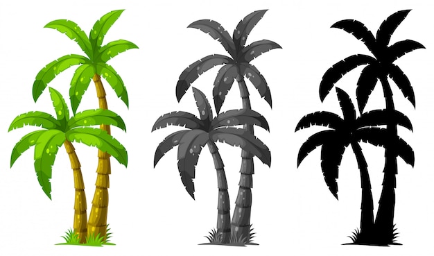 Free vector set of palm tree