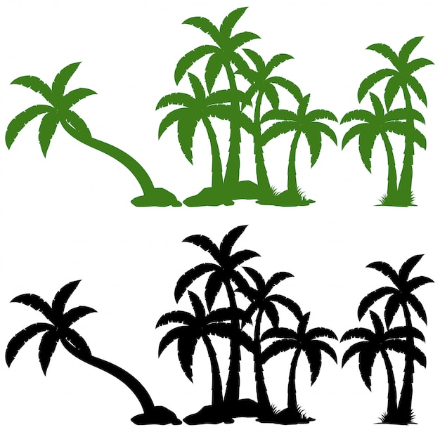 Set of palm tree