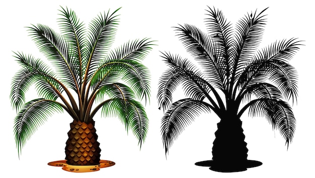 Set of palm tree