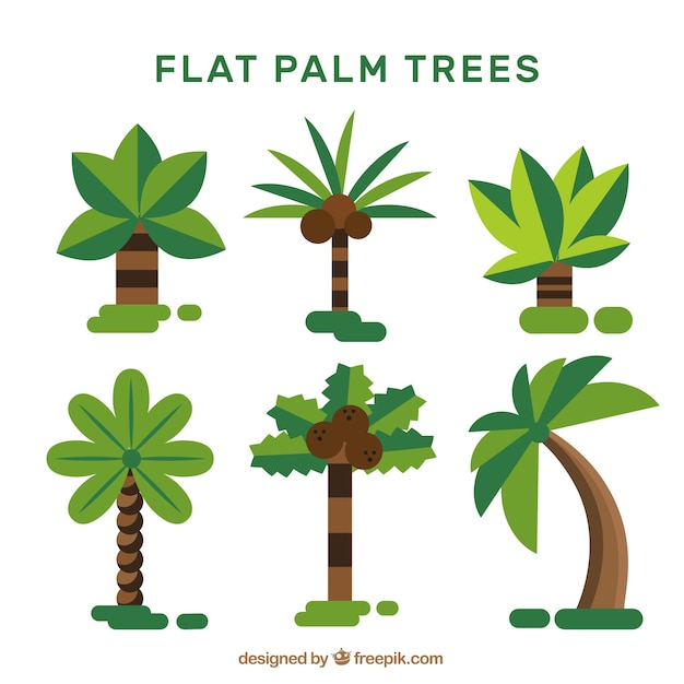 Set of palm trees in flat design