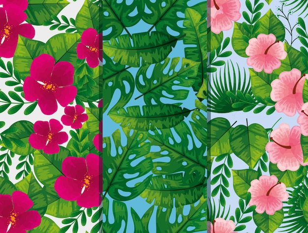 set of patterns of flowers and leaves